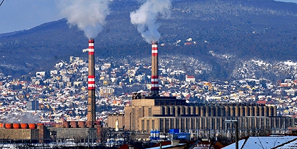 Akár az útszélen lekaszált gazt is megvenné a pécsi erőmű biomasszának a környék gazdáitól Akár az útszélen lekaszált gazt is megvenné a pécsi erőmű biomasszának a környék gazdáitól