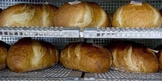 Harminc százalékkal is drágulhat a kenyér szeptembertől