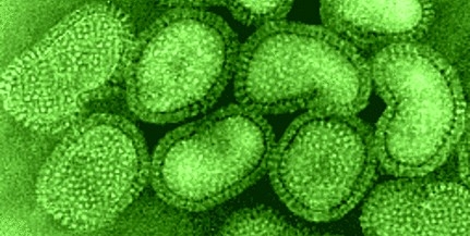 Influenza: szezonja van, de még nem éri el a járványküszöböt Influenza: szezonja van, de még nem éri el a járványküszöböt