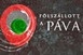 Pécsi művészek a Fölszállott a páva tehetségkutatón Pécsi művészek a Fölszállott a páva tehetségkutatón
