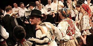Pécsi művészek a Fölszállott a páva tehetségkutatón Pécsi művészek a Fölszállott a páva tehetségkutatón