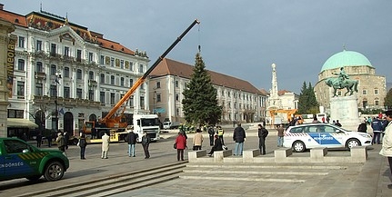 Megérkezett a Széchenyi térre a Mindenki Karácsonyfája és vízkeresztig ott is marad Megérkezett a Széchenyi térre a Mindenki Karácsonyfája és vízkeresztig ott is marad