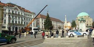 Megérkezett a Széchenyi térre a Mindenki Karácsonyfája és vízkeresztig ott is marad
