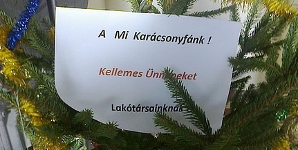 Kertvárosi angyalka: karácsonyfát állítottak a lépcsőházban Kertvárosi angyalka: karácsonyfát állítottak a lépcsőházban