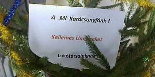 Kertvárosi angyalka: karácsonyfát állítottak a lépcsőházban Kertvárosi angyalka: karácsonyfát állítottak a lépcsőházban