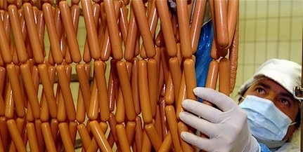 A legtöbb virsli még a kutyának sem való - az átlagos kutyaeledel minőségibb összetevőkből áll A legtöbb virsli még a kutyának sem való - az átlagos kutyaeledel minőségibb összetevőkből áll