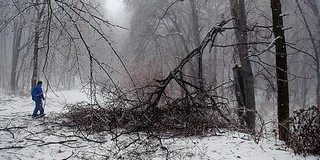 Baranyára is riasztást adtak ki ónos eső miatt Baranyára is riasztást adtak ki ónos eső miatt