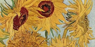 LED-lámpáktól barnulnak van Gogh napraforgói LED-lámpáktól barnulnak van Gogh napraforgói
