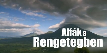 Slampoetry Odüsszeia lesz egy belvárosi sörözőben