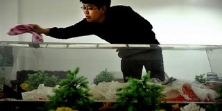 Szellemmenyasszonyokkal kereskedőket ítéltek el Kínában Szellemmenyasszonyokkal kereskedőket ítéltek el Kínában