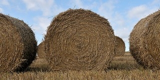 Szembe megy a Pannonpower a kormány elképzeléseivel és az Ős-Dráva program célkitűzéseivel?