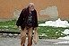 Legális jövedelemhez juthatnak a hajléktalanok Pécsett