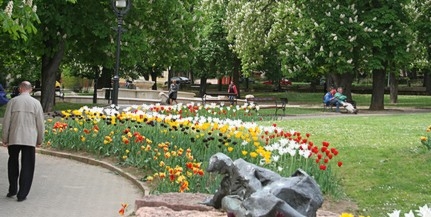 Reszkethetnek a tulipántolvajok - speciális festékkel jelöli a BIOKOM a sarjadó növényeket Reszkethetnek a tulipántolvajok - speciális festékkel jelöli a BIOKOM a sarjadó növényeket