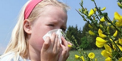 Nehezedik az allergiások élete: ellepték a pollenek a levegőt Nehezedik az allergiások élete: ellepték a pollenek a levegőt