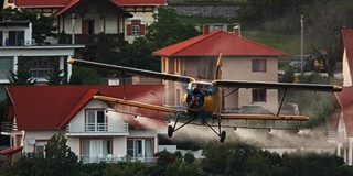 Reszkethetnek a vérszívók - A BIOKOM szerdán megkezdi a szúnyogirtást Pécsett