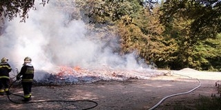 Szándékos gyújtogatás a remeteréti rekreációs parkban - hatalmas lángokkal égett a Mecsek