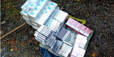 Viperát és adózatlan cigarettát talált a hatóság a pécsi vásárban Viperát és adózatlan cigarettát talált a hatóság a pécsi vásárban