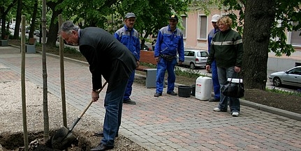Hatezer cserjét és háromszáz fát ültetnek a Zsolnay Negyedtől a Tüzér utcáig a 6-os mentén Hatezer cserjét és háromszáz fát ültetnek a Zsolnay Negyedtől a Tüzér utcáig a 6-os mentén