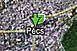 Pécs továbbra is csak folt marad Pécs továbbra is csak folt marad