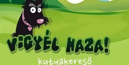 Már több mint ötezren töltötték le a kutyakereső alkalmazást Már több mint ötezren töltötték le a kutyakereső alkalmazást