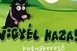 Már több mint ötezren töltötték le a kutyakereső alkalmazást Már több mint ötezren töltötték le a kutyakereső alkalmazást