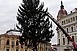 Felállították a Mindenki karácsonyfáját a Széchenyi téren Felállították a Mindenki karácsonyfáját a Széchenyi téren