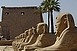 Egyiptom már 120 ezer forinttól egy hétig: üdülés a tengernél plusz Kairó és Luxor Egyiptom már 120 ezer forinttól egy hétig: üdülés a tengernél plusz Kairó és Luxor
