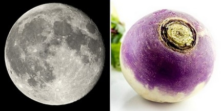 A Holdon termesztene növényeket a NASA A Holdon termesztene növényeket a NASA