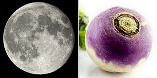 A Holdon termesztene növényeket a NASA