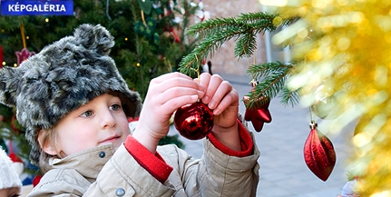 Elkezdődött a karácsonyi készülődés a Zsolnay Kulturális Negyedben - KÉPGALÉRIA