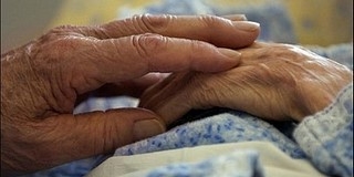 Áttörés a tudományban: közelebb kerültünk az örök élethez Áttörés a tudományban: közelebb kerültünk az örök élethez