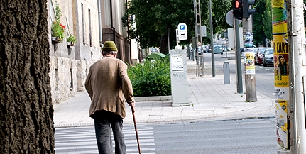 Zebrák: a járókelők szerint nem lehet átérni, a szakértők szerint igen Zebrák: a járókelők szerint nem lehet átérni, a szakértők szerint igen