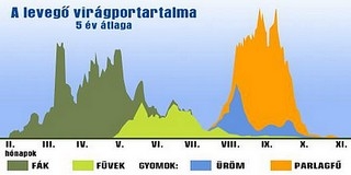 Pécsett közepes a pollenterhelés, a mogyoró a legrosszabb Pécsett közepes a pollenterhelés, a mogyoró a legrosszabb