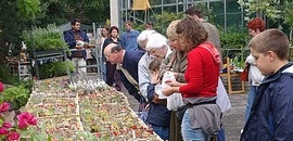 Dísznövény-kiállítás és vásár a PTE-n