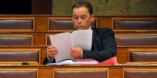 Szanyi offshore-százmilliókat gyanít a CÖF mögött