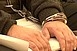 Ítélet születhet a volt nejét meggyilkoló állatorvos perében Ítélet születhet a volt nejét meggyilkoló állatorvos perében