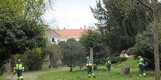 Napi tíz tonna szemetet és koszt szed össze a BIOKOM