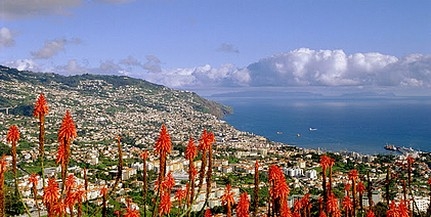 Madeira júniusban akciós áron! Madeira júniusban akciós áron!