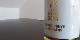 Különdíjban részesült a pécsi gyermekhospice szervezet Különdíjban részesült a pécsi gyermekhospice szervezet