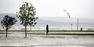 Kilépett medréből a Balaton, több helyütt fák dőltek a sínekre
