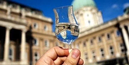 Ha már egyszer hungarikum: hatóságilag minősítenék a pálinkát Ha már egyszer hungarikum: hatóságilag minősítenék a pálinkát