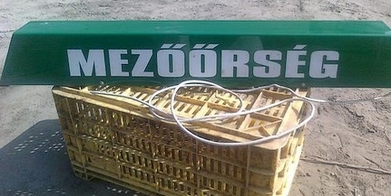 Elég volt a lopásokból: ezentúl mezőőrök vigyázzák az értékeket Pécs peremterületein is Elég volt a lopásokból: ezentúl mezőőrök vigyázzák az értékeket Pécs peremterületein is