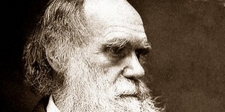 Darwin „lopta” a természetes szelekció elméletét – állítja egy kriminológus Darwin „lopta” a természetes szelekció elméletét – állítja egy kriminológus