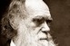 Darwin „lopta” a természetes szelekció elméletét – állítja egy kriminológus