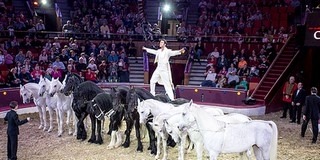 Magyar cirkuszcsillagok a POSZT-on: varázslat csütörtöktől vasárnapig Magyar cirkuszcsillagok a POSZT-on: varázslat csütörtöktől vasárnapig