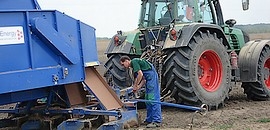 Energiaültetvények a Pannonpowertől