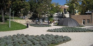 Levendulaszüret lesz a Zsolnay Kulturális Negyedben