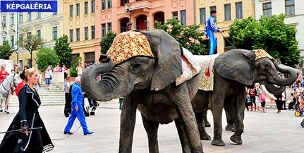 Artisták és egzotikus cirkuszi állatok lepték el a belvárost - GALÉRIA