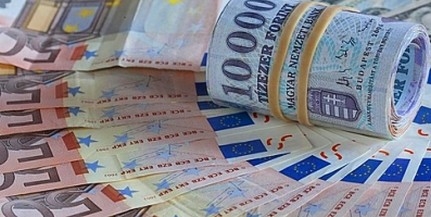 Egymilliárd eurót kaphatnak vissza a magyar devizahitelesek Egymilliárd eurót kaphatnak vissza a magyar devizahitelesek