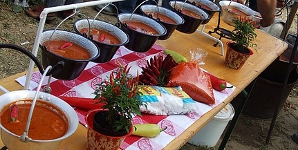 Jövő hétvégén Bajai Halfőző Fesztivál, 150 ezer embert várnak Jövő hétvégén Bajai Halfőző Fesztivál, 150 ezer embert várnak